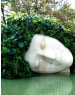 箱根 彫刻の森美術館の画像