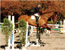馬術ギャラリー１