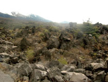 鬼押出し園画像