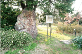 甘藷栽培の記念碑の画像