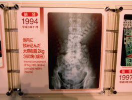 体内に飲み込んだコカイン